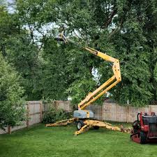 Best Storm Damage Tree Cleanup  in Lmerton, PA