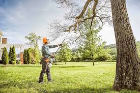 Best Root Management and Removal  in Lmerton, PA
