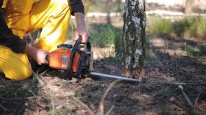 Best Lawn Irrigation Installation and Maintenance  in Lmerton, PA