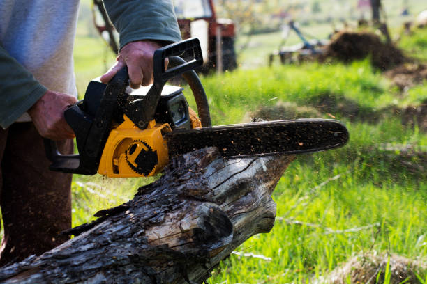 Best Arborist Consultation Services  in Lmerton, PA